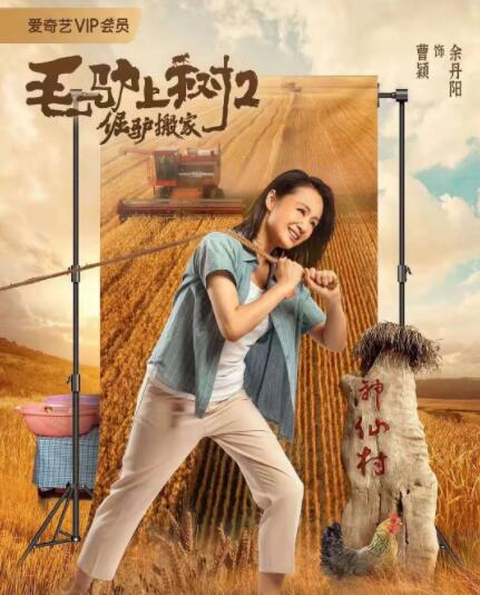 亚洲国产精品综合福利专区